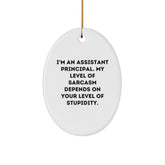 Funny Assistant Principal Gifts for Christmas - I'm An Assistant Principal Oval Ornament from Friends, 'Sarcasm Depends On Your Level Of Stupidity' - Gifts from Family, Coworkers, or Friends - Image 1